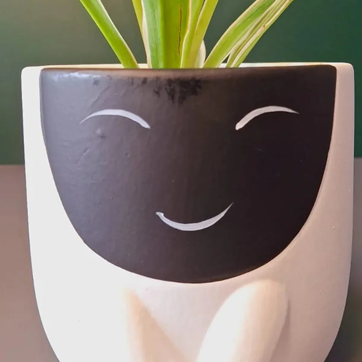 Close-up of black smiling face on white ceramic planter