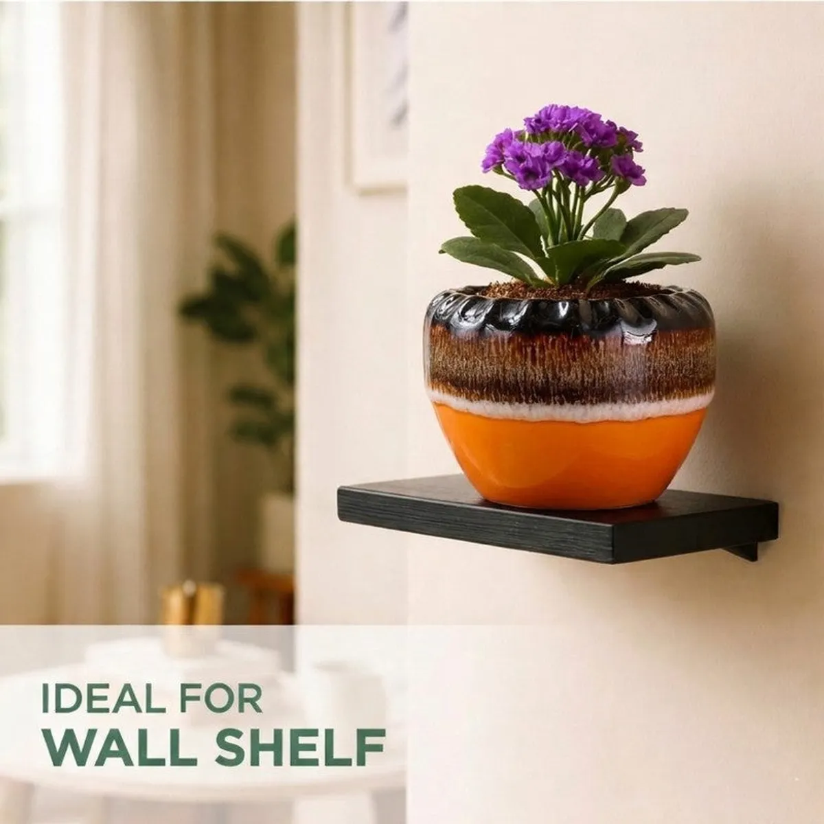 Colourful ceramic planter with a purple flowering plant on a wall shelf.