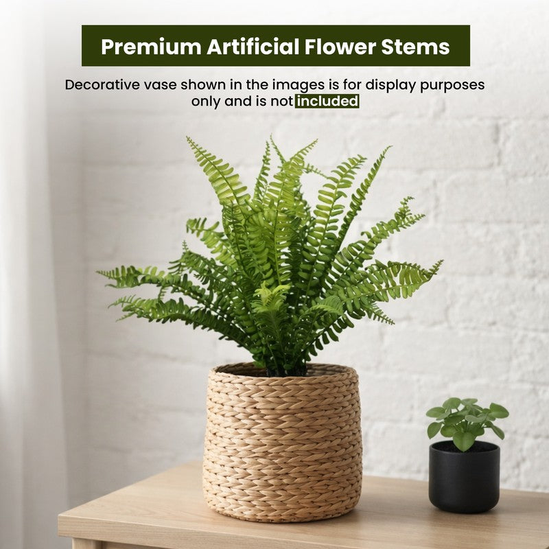 Fernique Plastic Artificial Plant - Set Of Two media 4