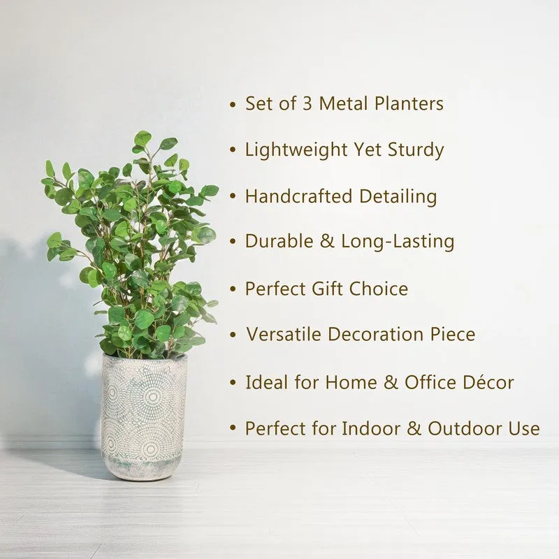 Sylva Planters - Set Of Three media 6