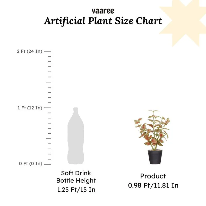 Artificial Coleous Plant With Black Fiber Pot (Brown) - 1 Feet media 7