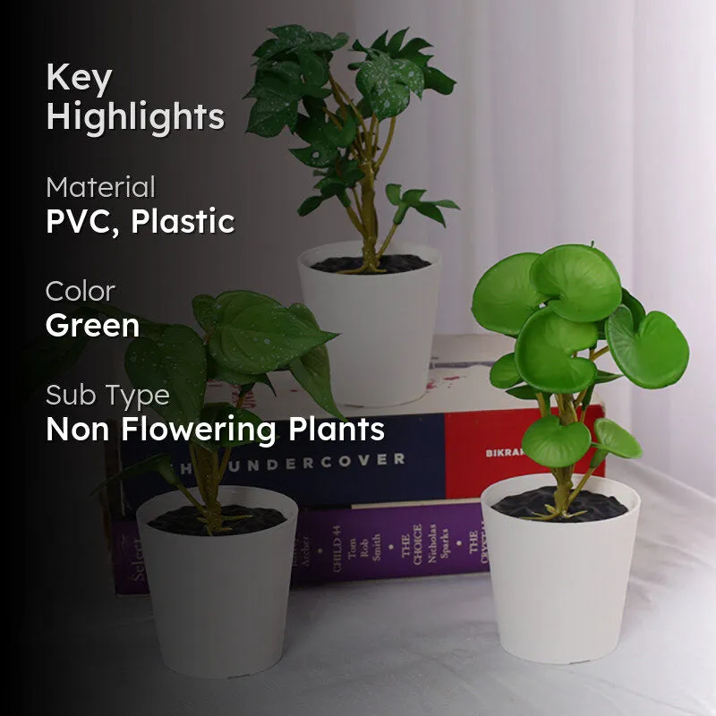 Verdanta I Artificial Tabletop Plant - Set Of Three media 2