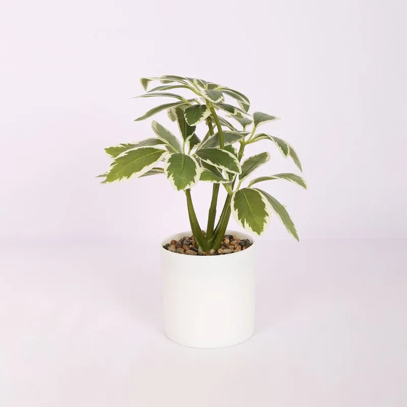 Schefflera Artificial Plants With Pot media 3