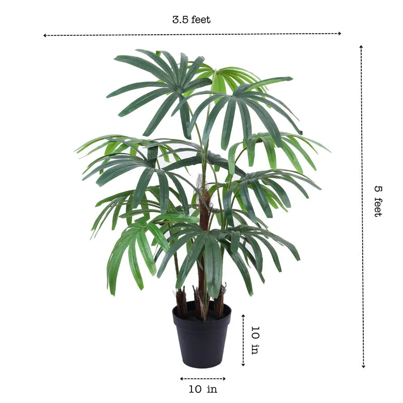 Artificial Realistic Rhapis Palm Tree With Black Plastic Pot - 4.9 Feet media 5