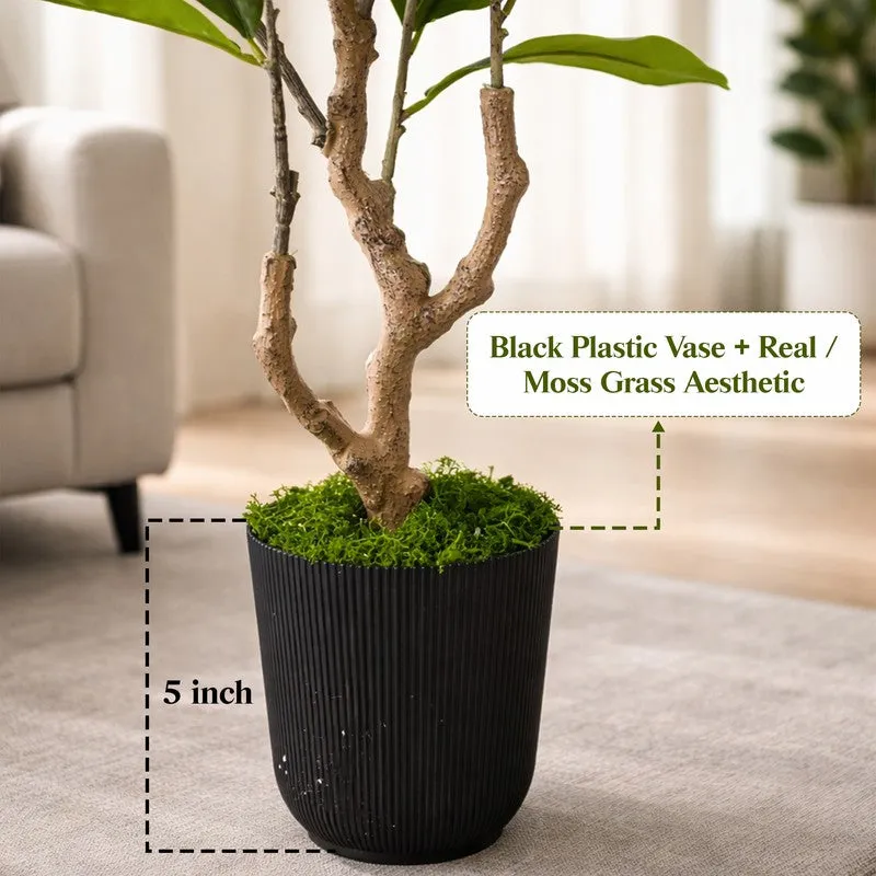 Bloom Grace Magnolia Artificial Plant With Black Plastic Pot - 91 cm (3 ft) media 6