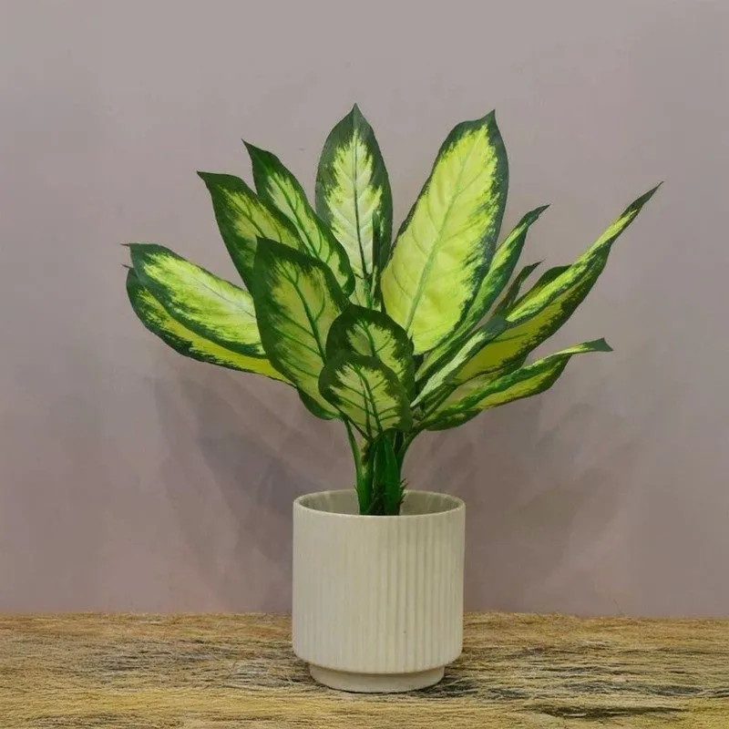Faux Dracaena Artificial Plant With Black Fiber Pot - 1.7 Feet media 5