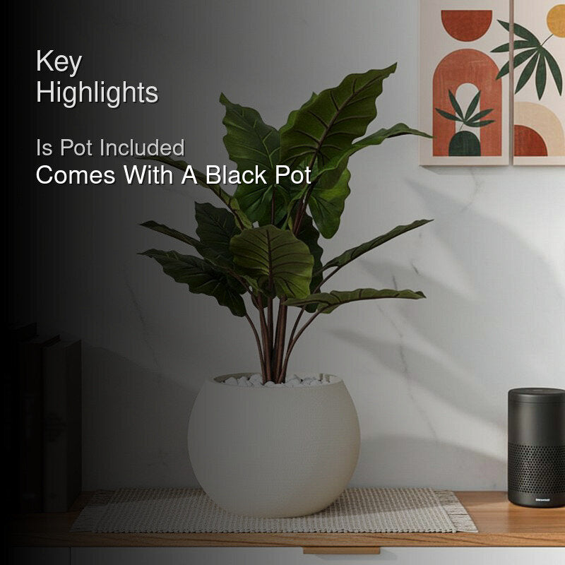 Faux Everlasting Alocasia Plant With Black Plastic Pot - 90 cm (3 ft) media 2