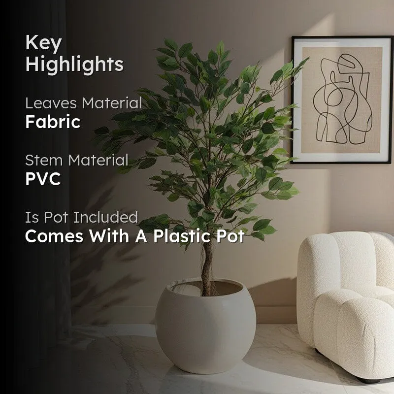 Evergreen Aura Artificial Plant With Black Plastic Pot - 4.2 ft media 2