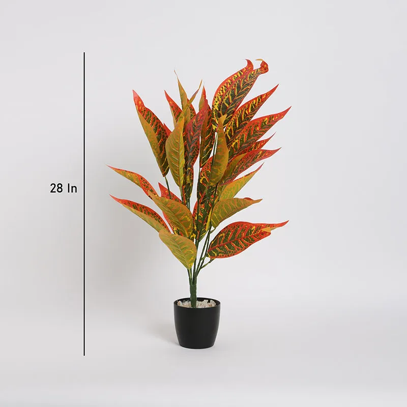 Faux Mammy Croton Plant With Black Plastic Pot - 2.2 Feet media 5