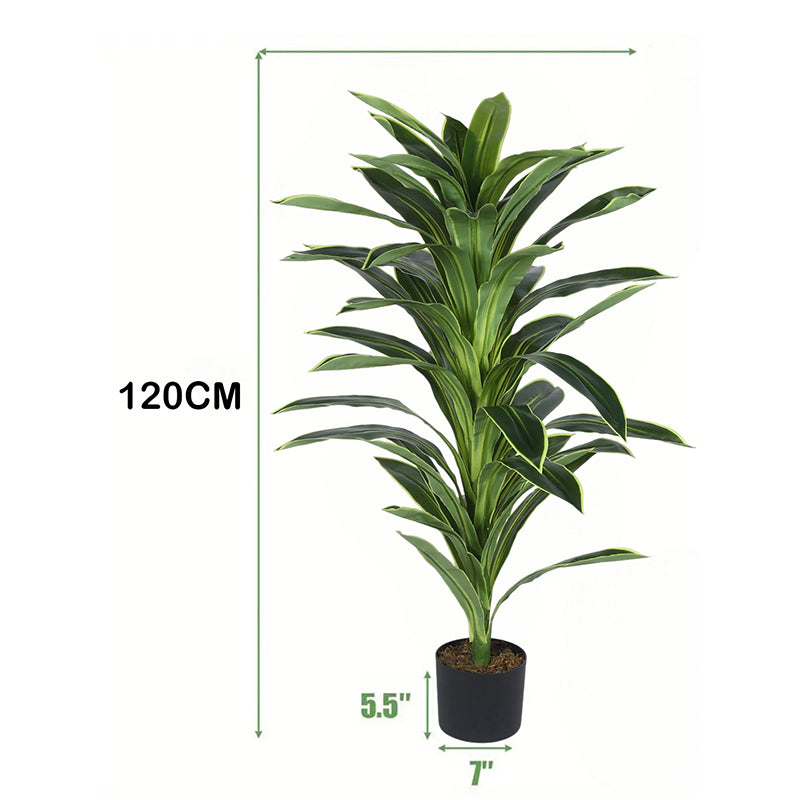 Edena Artificial Dracaena Plant With Black Plastic Pot - 4 Feet media 6