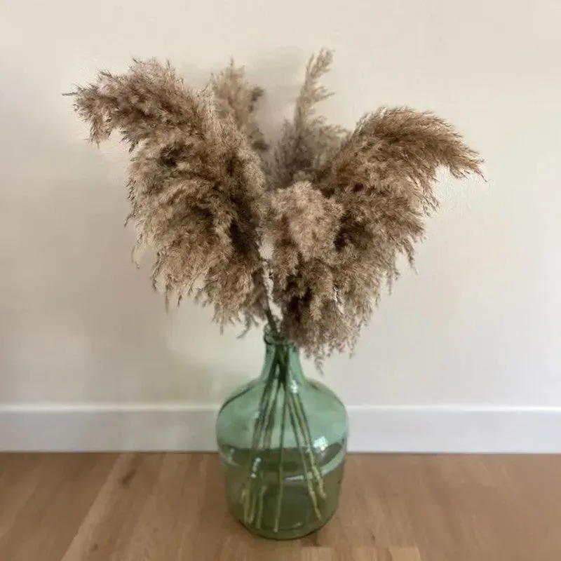 Artificial Rustic Pampas Stem - Set Of Five media 3