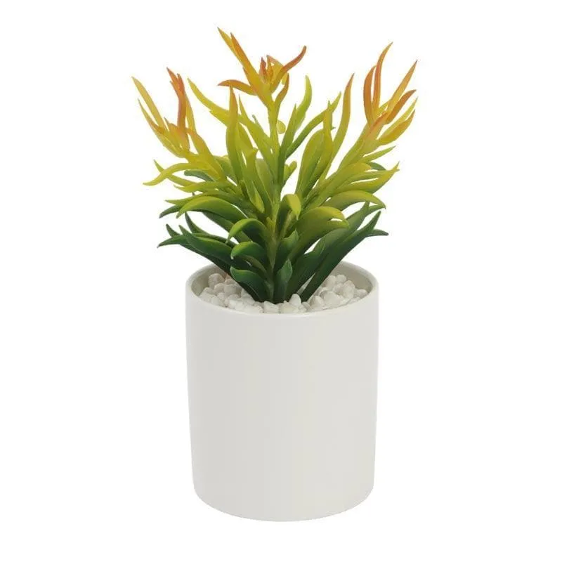 Faux Euphorbia In Decorative Pot - 20.5 cms - 3