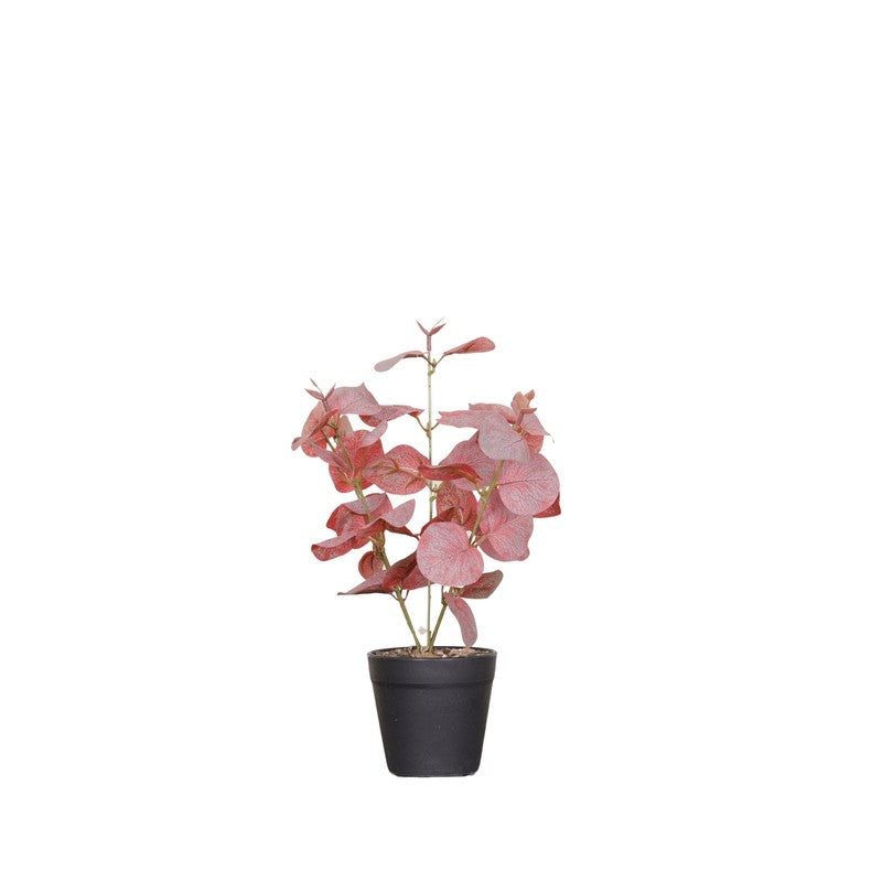Artificial Eucalyptus Plant With Black Fiber Pot (Pink) - 1 Feet media 4