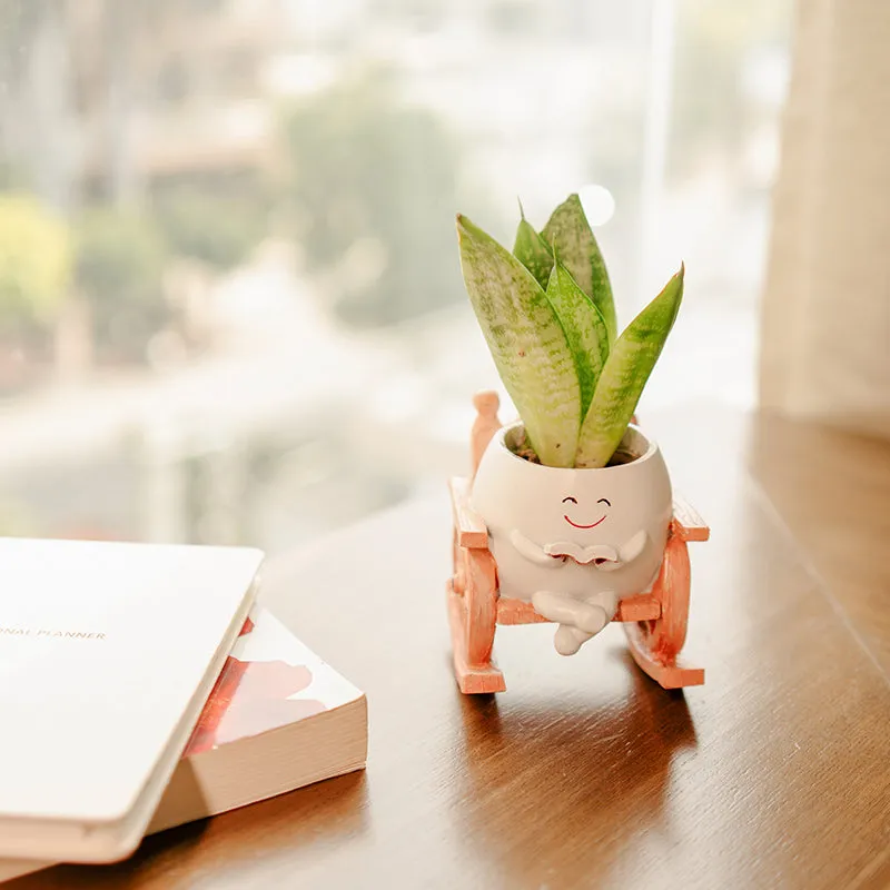 Rocking Chair Resin Planter media 4