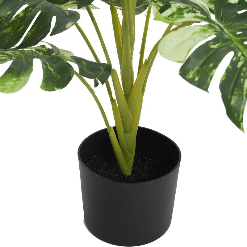 LeafScape Artificial Plant With Black Plastic Pot - 2.5 ft media 7