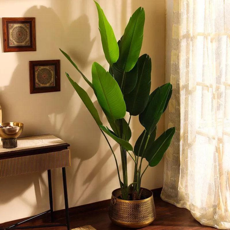 Artificial Banana Tree With Black Plastic Pot - 5.9 Feet media 1