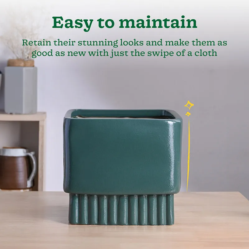 Ugaoo Sleepy Sprout Square Ceramic Planter - Green media 5