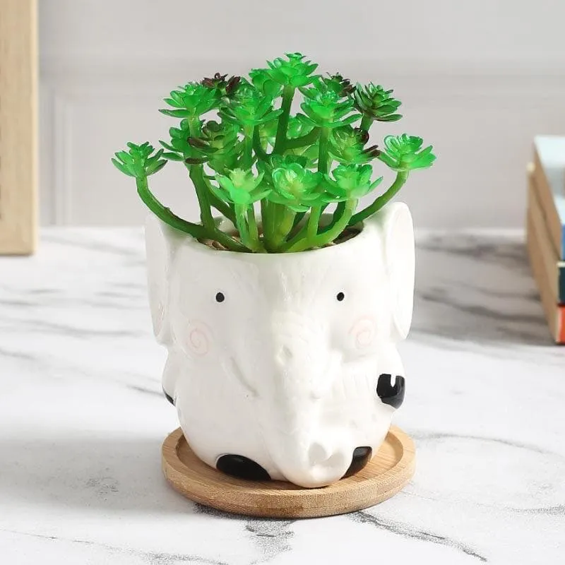Faux Crassula In Elephant Face Pot - 17.5 cms media 1