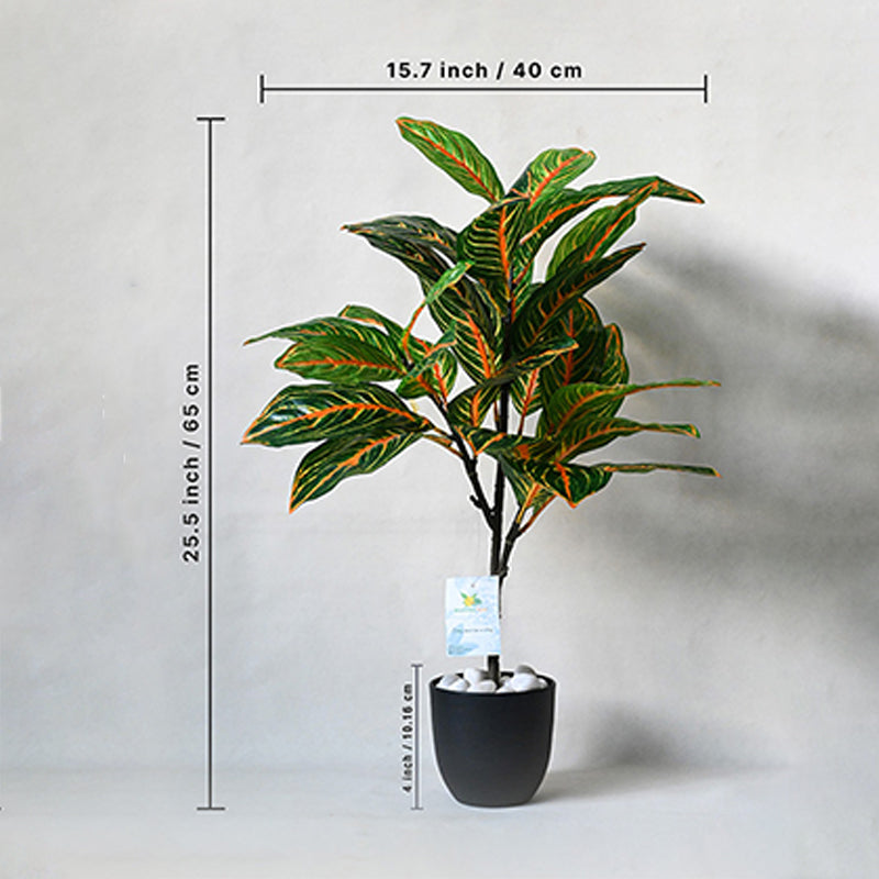 Faux Everlasting Aglaonema Plant With Black Plastic Pot - 74 cm (2.4 ft) media 5