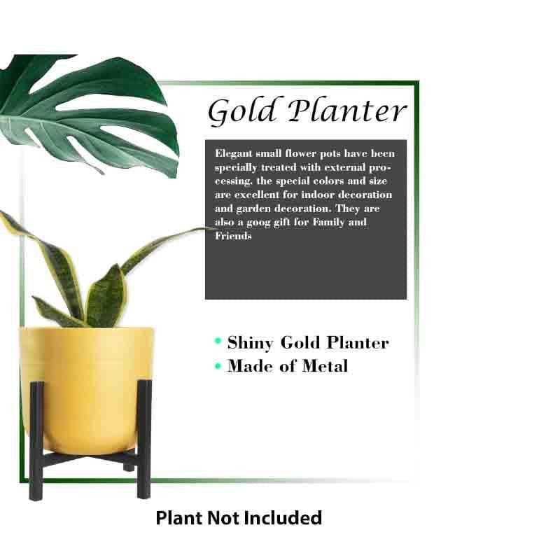 Goldie Planter With Stand - Set Of Two media 8