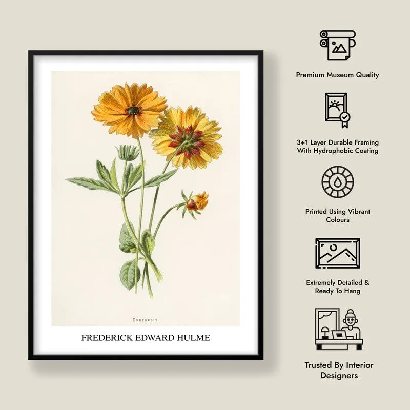 Coreopsis Frederick Edward Hulme Archival Canvas Wall Painting - Black Frame media 8