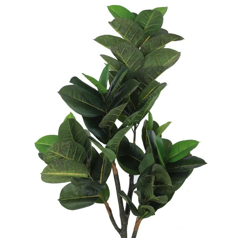Faux Rubber Plant With Black Plastic Pot media 4