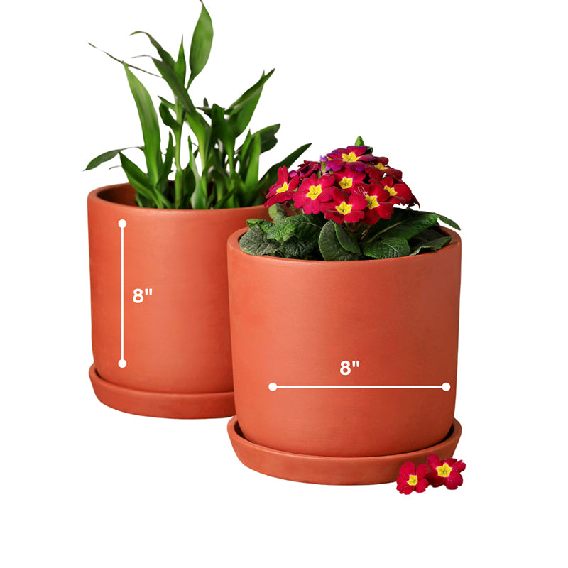 Lark Terracotta Planter - Set Of Two image 5