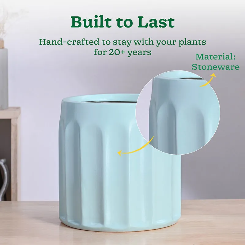 Ugaoo Straits Ceramic Planter - Green media 3