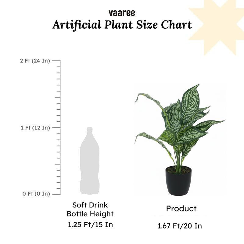 Faux Jale Croton Plant With Black Plastic Pot (50 cms) - Set Of Two media 6