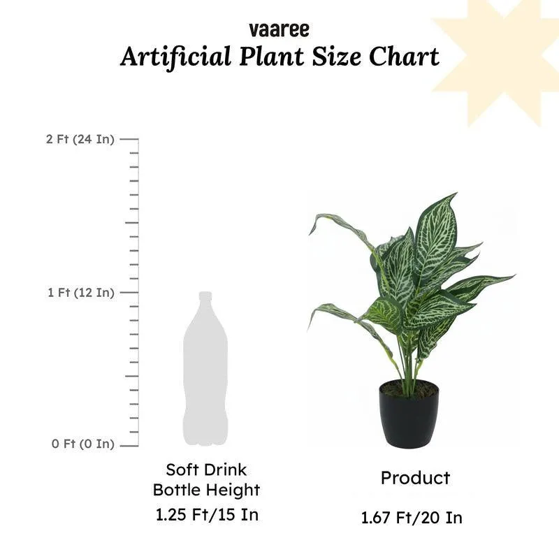 Faux Jale Croton Plant With Black Plastic Pot (50 cms) - Set Of Two media 6