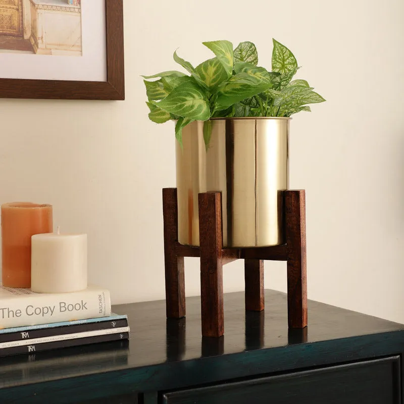 Hita Stainless Steel Planter - Gold media 2