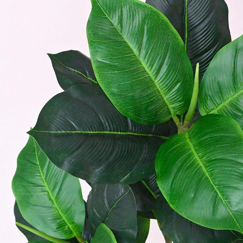 Faux Everlasting Dieffenbachia Seguine Plant With Black Plastic Pot - 75 cm (2.5 ft) media 4