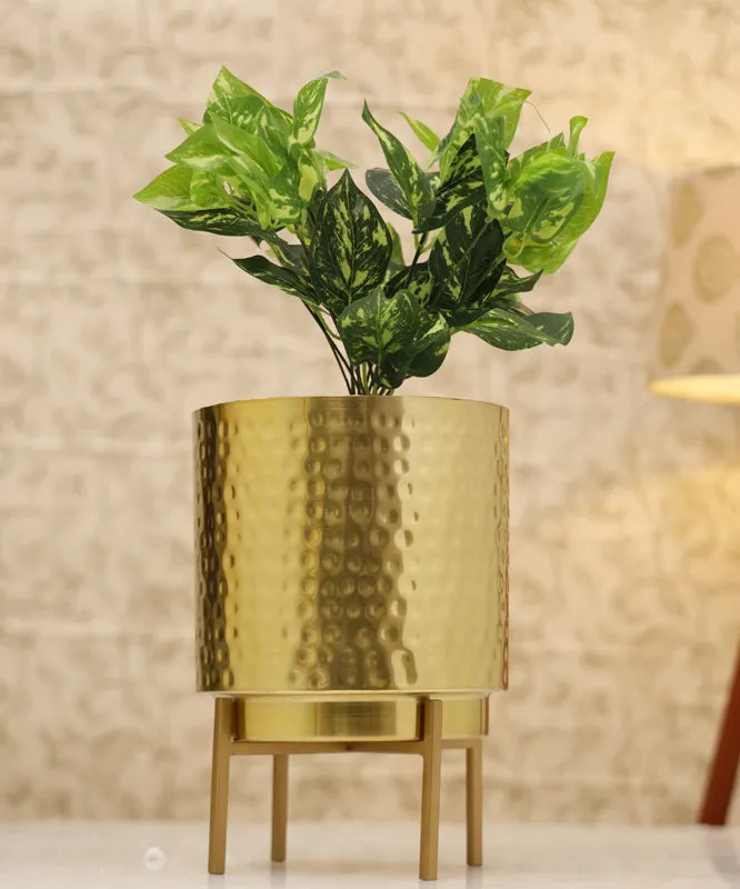 Cylindrical gold planter with stand and green leaves