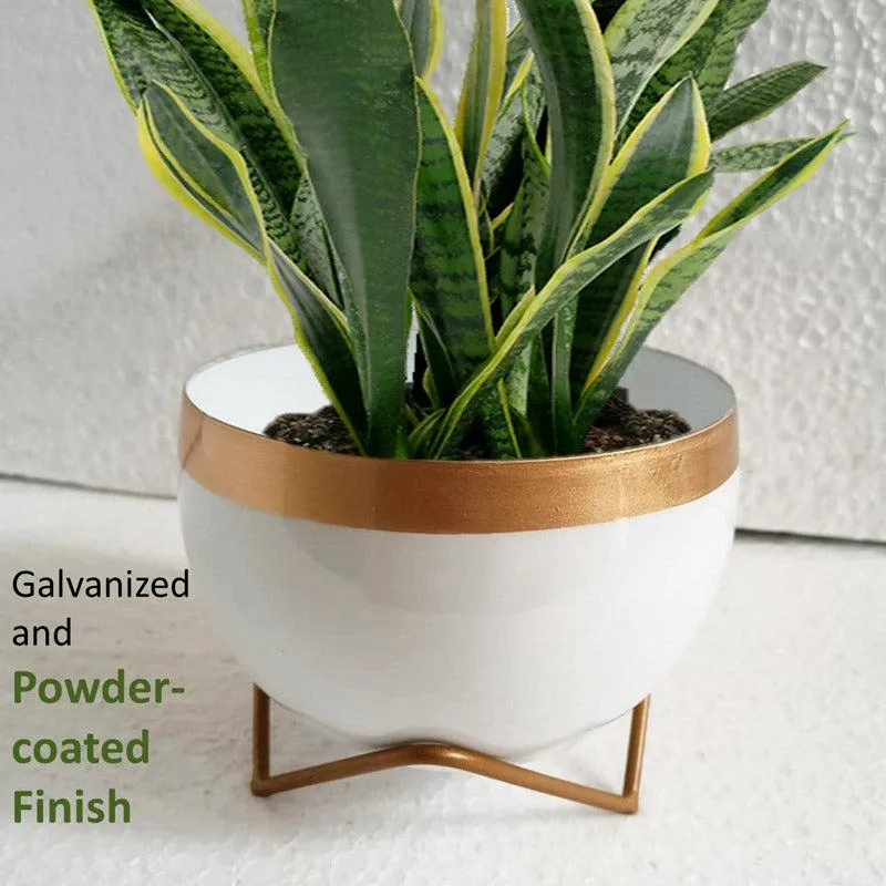 Attva Metal Planter With Stand - White media 7