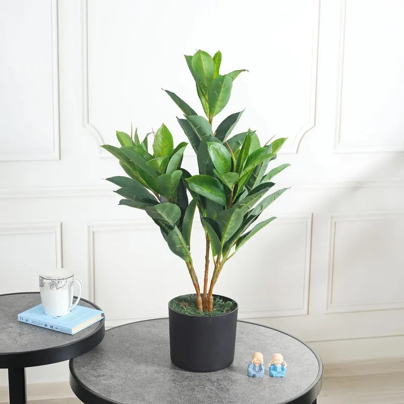 LuxeTouch Artificial Rubber Plant Without Pot - 2.1 Feet media 3