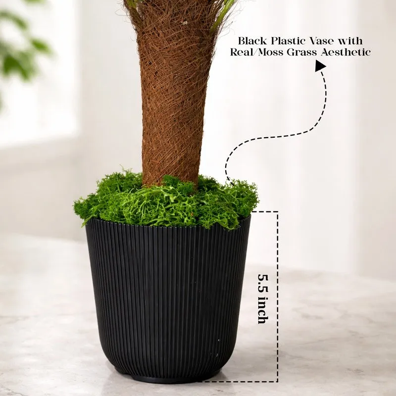 Pure Verde Palm Artificial Plant With Black Plastic Pot - 89 cm (2.9 ft) media 6