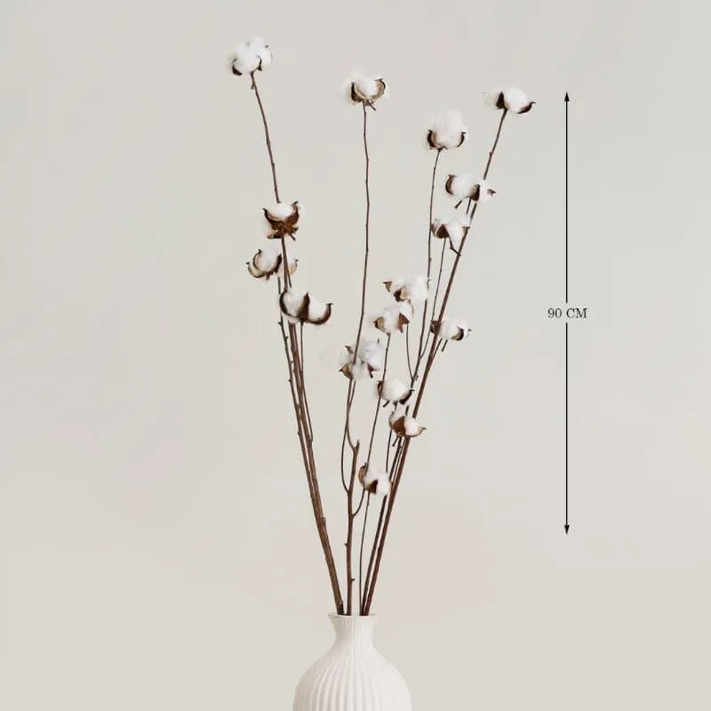 Cuzi Dried Cotton Stick (Silver) - Set Of Fifteen Pods media 4