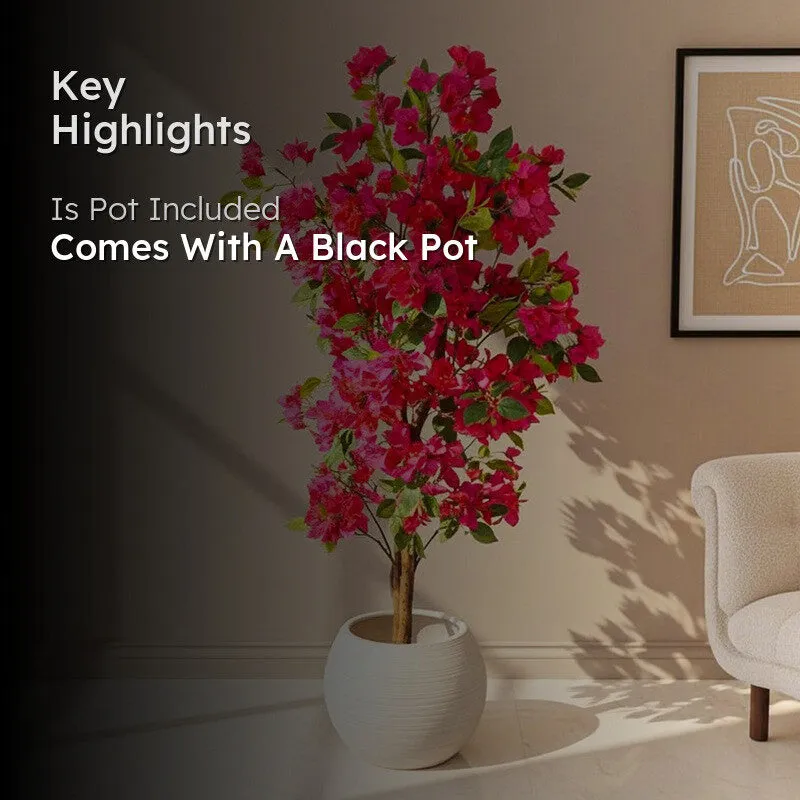 Verdiq Artificial Bougainvillaea With Black Plastic Pot - 5 Feet media 2