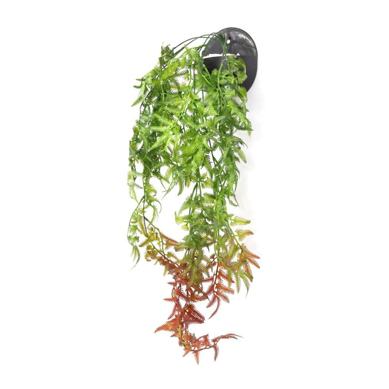 Greenelle Artificial Creeper - Set of Three media 5