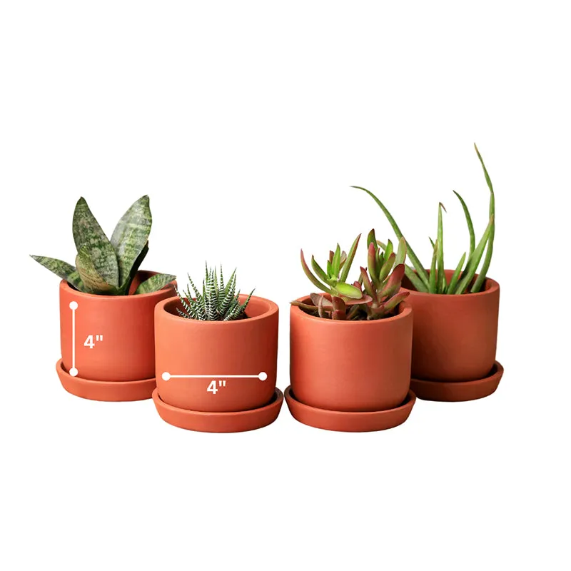Lark Terracotta Planter - Set Of Four media 4