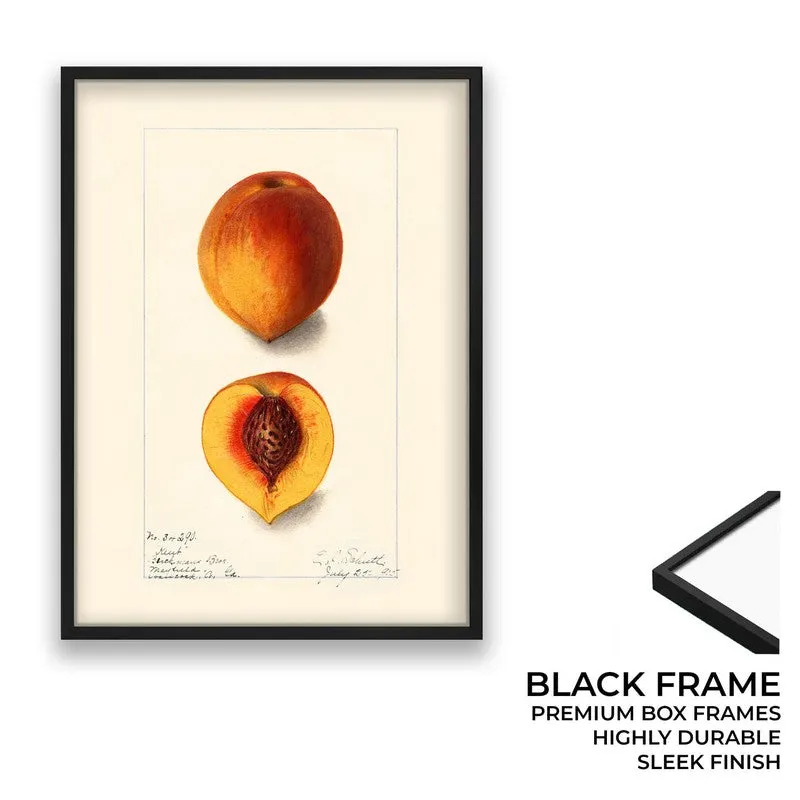 FruitAura Archival Canvas Wall Art - Black media 8