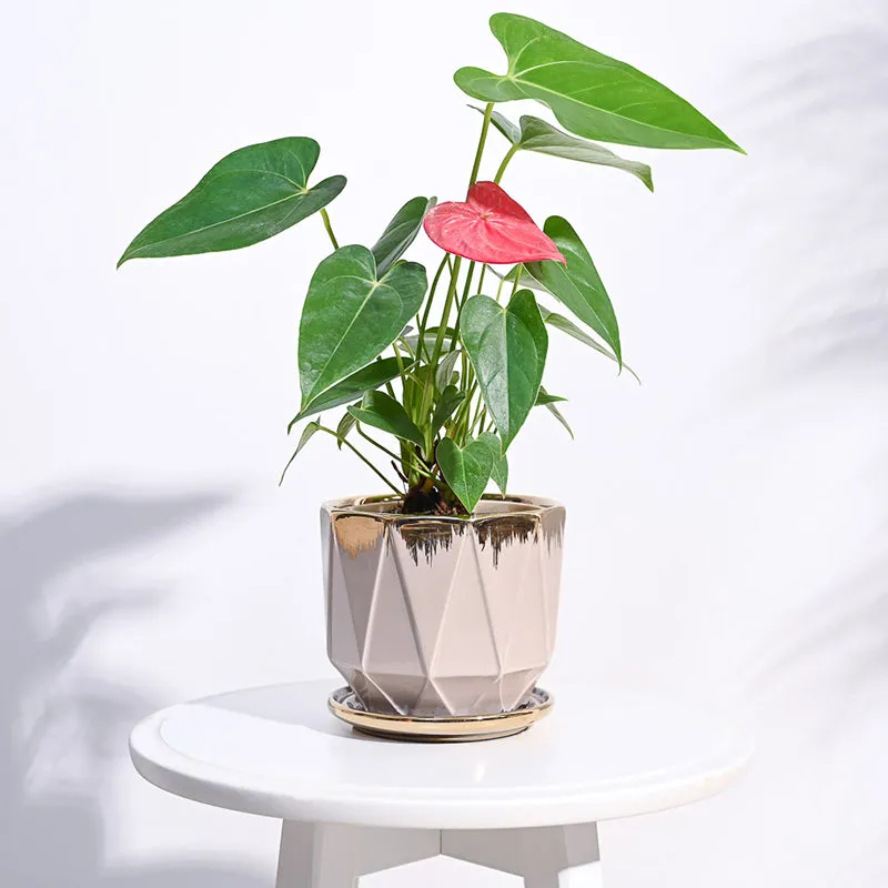 Ugaoo Geometri Ceramic Planter - Beige media 2