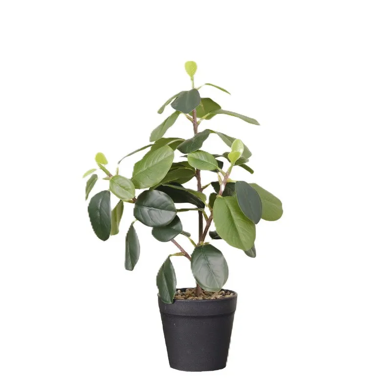 Artificial Dark Green Natural Looking Quercus Leaf Plant With Black Fiber Pot - 1.2 Feet media 4