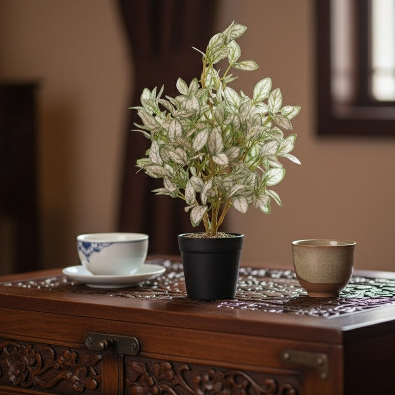 Artificial Ficus Starlight Plant With Black Fiber Pot - 1 Feet media 5