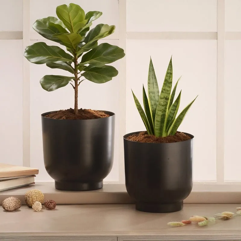 Terra Loom Bloom Planter - Set Of Two media 3