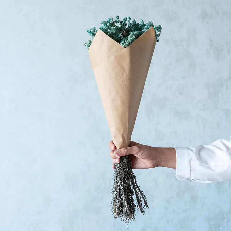 Gypsa Dried Baby's Breath Bunch - Blue media 3