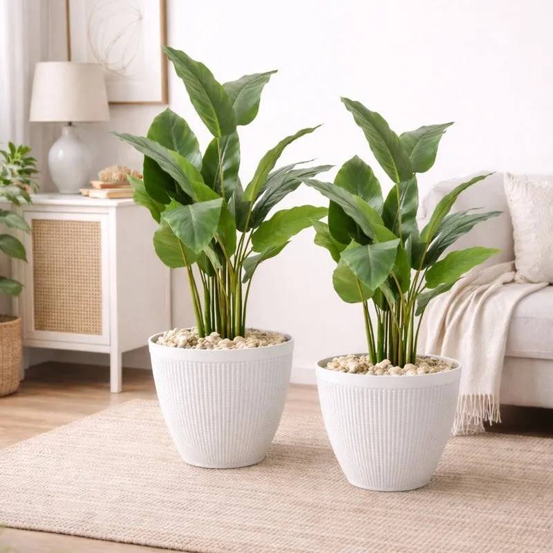 BloomBin Planters (White) - Set Of Two media 4