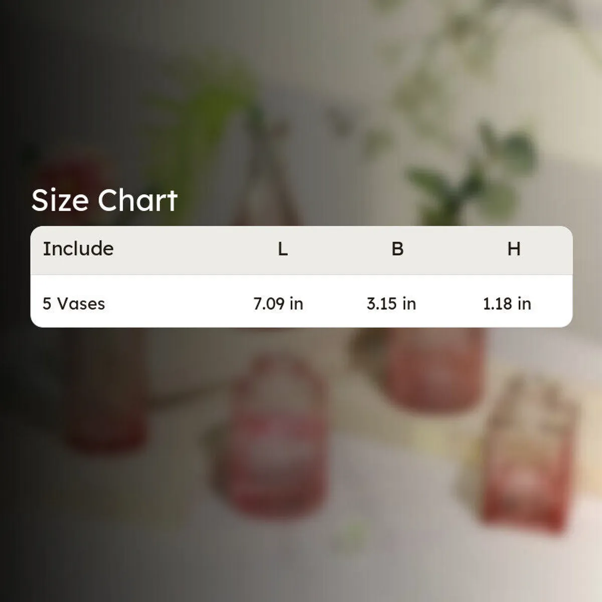 Size chart graphic for five-vase set