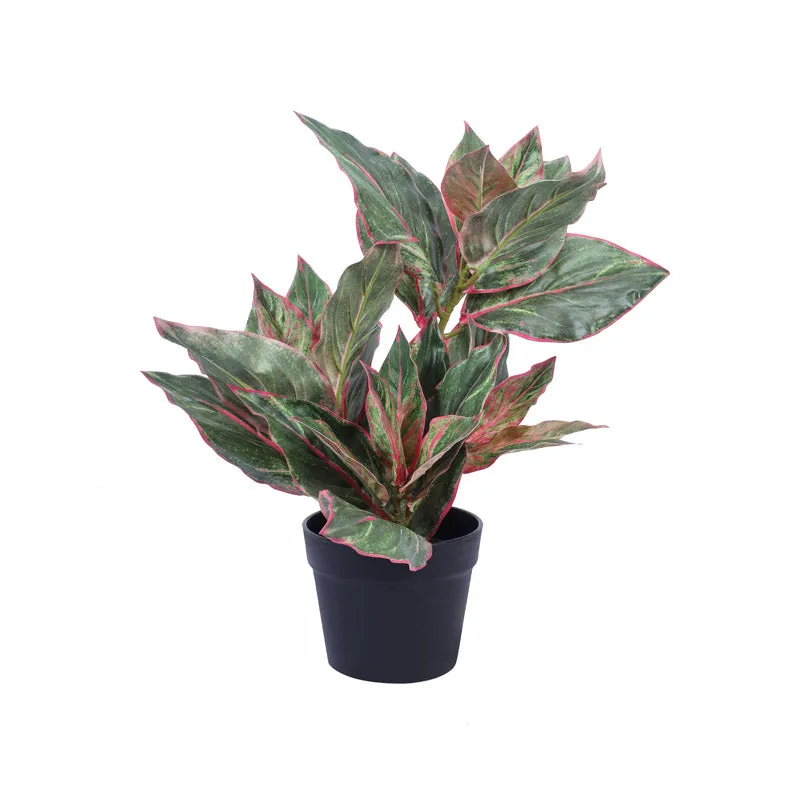 Artificial Realistic Dieffenbachia With Black Plastic Pot - Green media 3