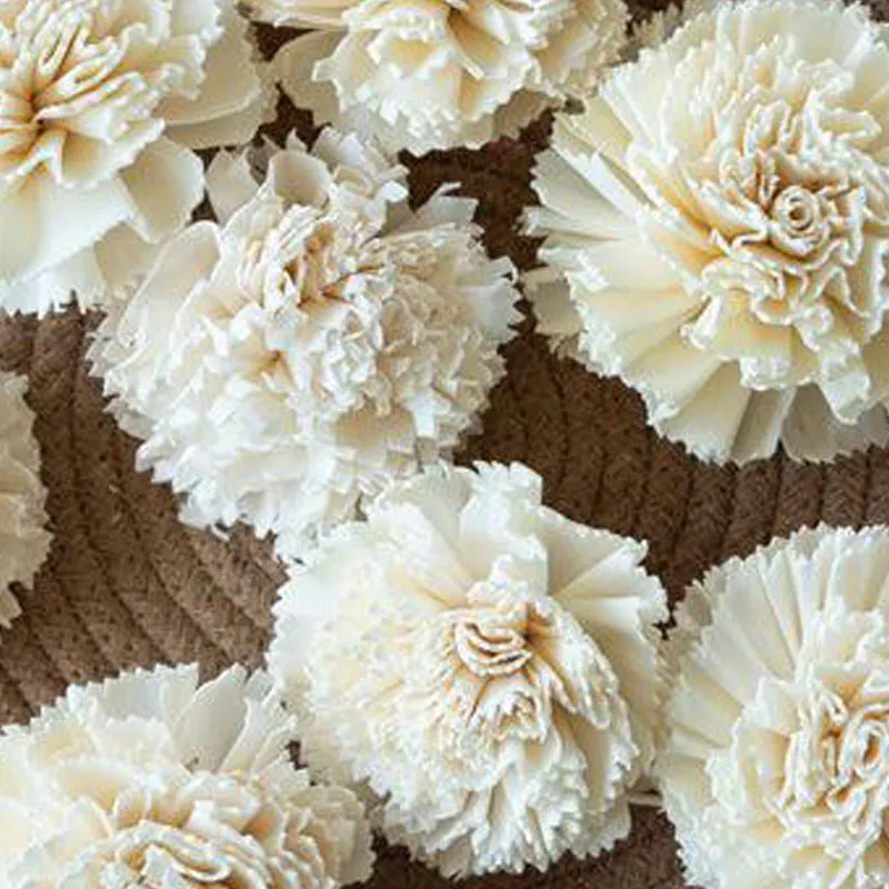 Berta Carnation Sola Flower (White) - Set Of Ten media 5